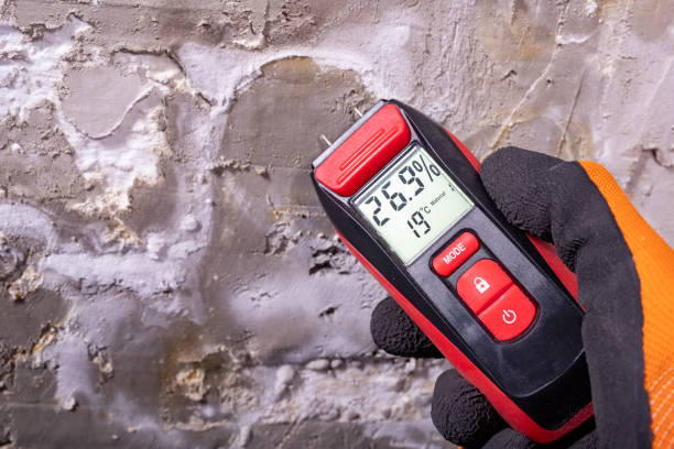 Best Office Mold Removal Services  in Five Points, OH