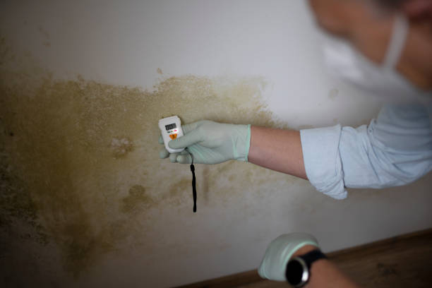 Best Mold Testing  in Five Points, OH