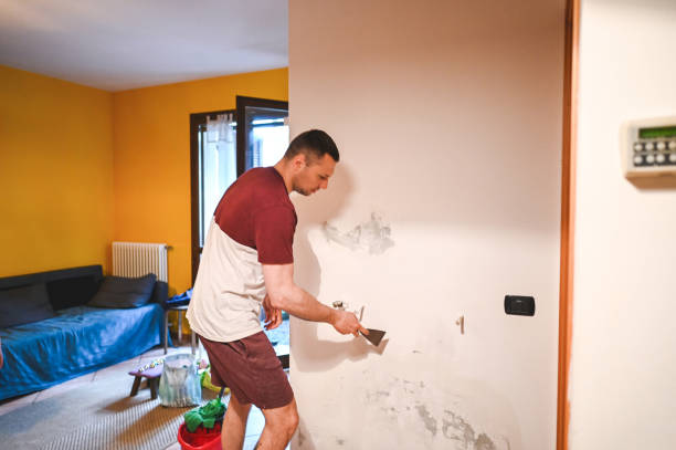 Best Emergency Mold Removal  in Five Points, OH