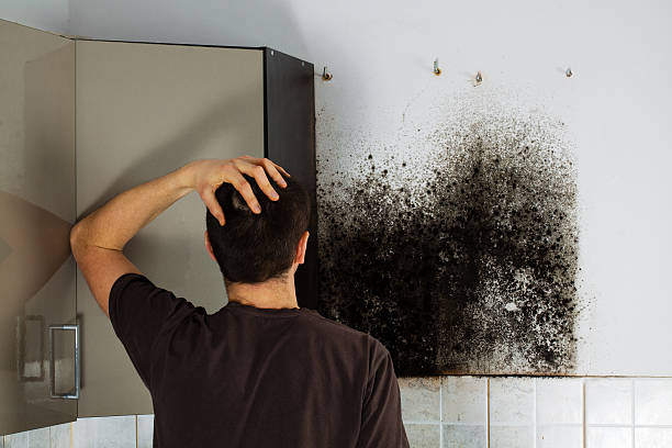Best Mold Testing  in Five Points, OH
